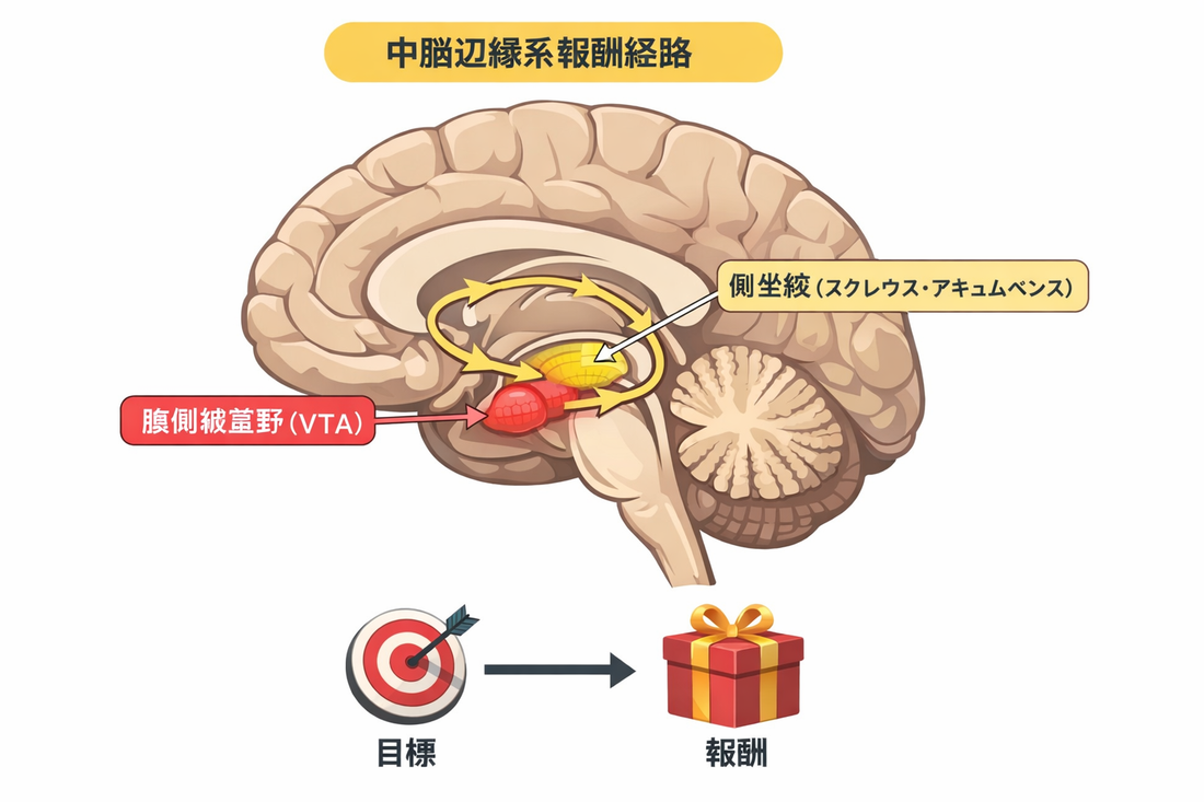 モチベーションを維持する方法｜ドーパミンと習慣化の科学